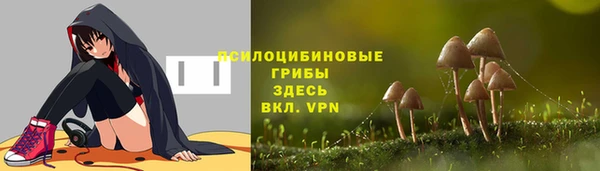 твердый Михайловка