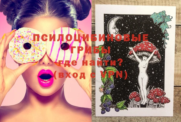 твердый Михайловка