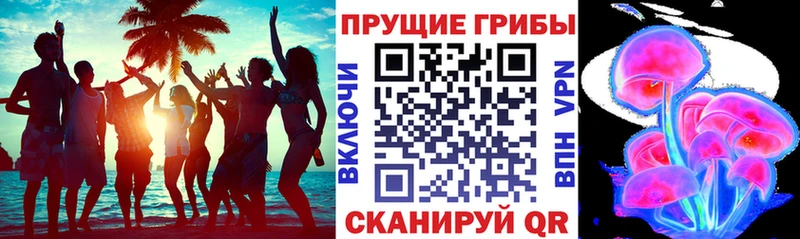 Псилоцибиновые грибы мицелий  купить наркотик  Каменск-Шахтинский 