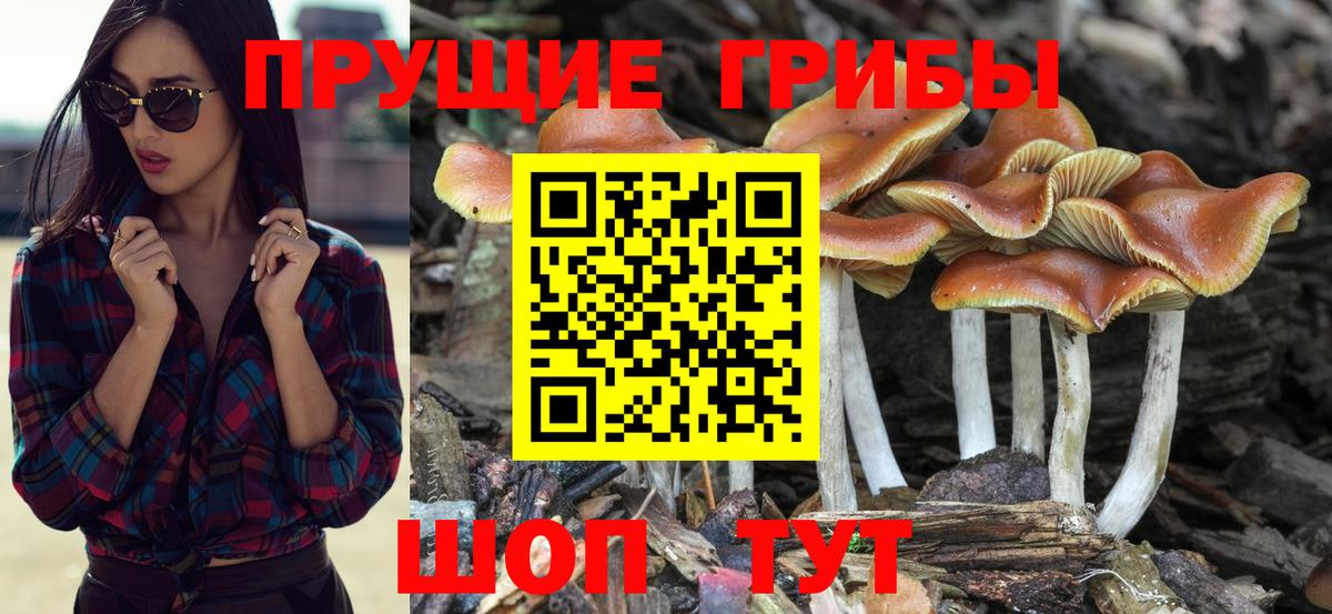 Галлюциногенные грибы мухоморы Каменск-Шахтинский