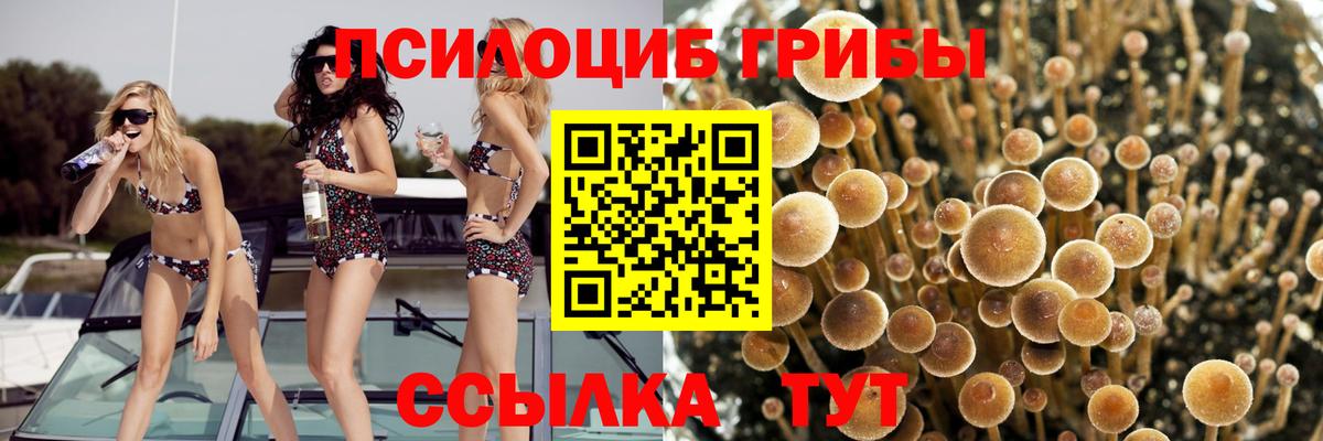 Каннабис Каменск-Шахтинский